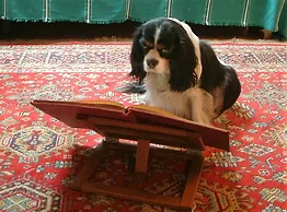 La vera storia del cavalier King